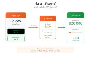 Margin คืออะไร? มาร์จิ้น คืออะไรในการเทรด Forex และการเงิน