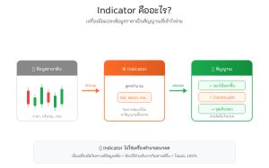 Indicator คืออะไร? (Indicator คือ) – ทำความเข้าใจ อินดิเคเตอร์ แบบง่ายๆ