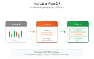 Indicator คืออะไร? (Indicator คือ) – ทำความเข้าใจ อินดิเคเตอร์ แบบง่ายๆ