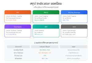 สรุป Indicator คืออะไร